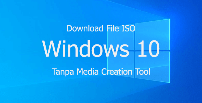 Download Windows 10 Pro Update 20H2 v2 ISO